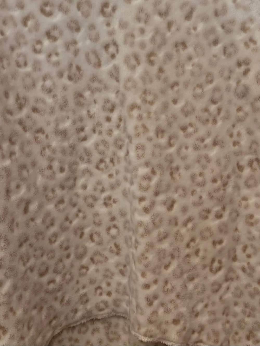 NWOT Z Supply Plush Leopard Print Pullover Sweater